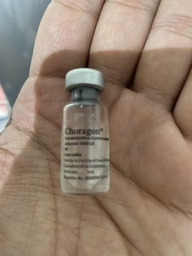 Customer photo review of Choragon | Gonadotropina coriónica humana (HCG) 5,000ui