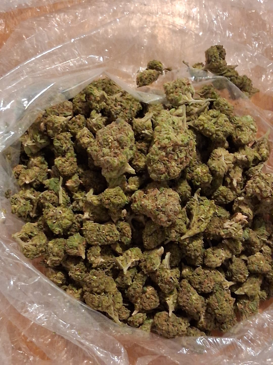 Customer photo review of Double Runtz Minis - Bulk Minis - Hybrid