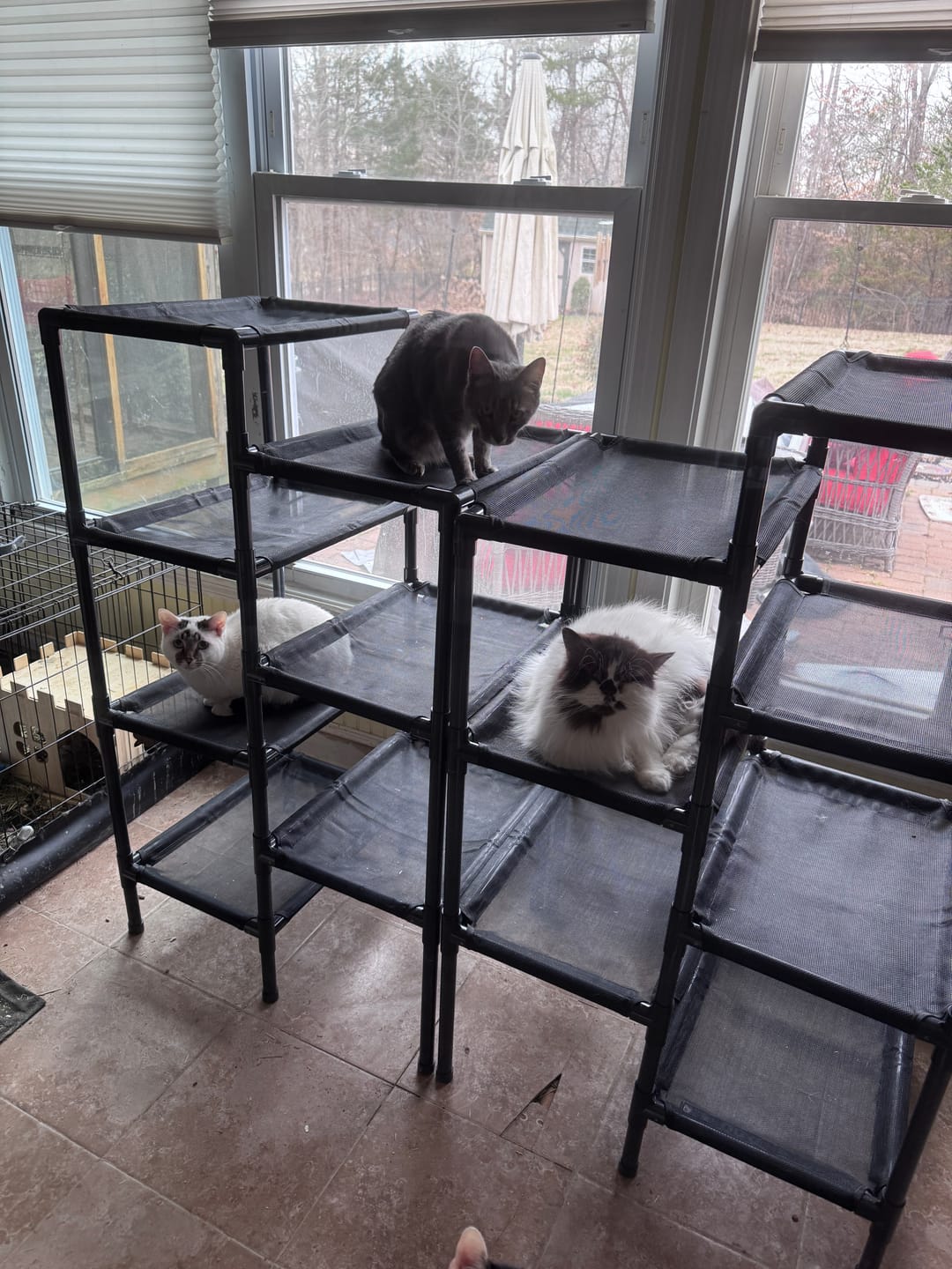 Customer photo review of Durable Cat Tower - Haven