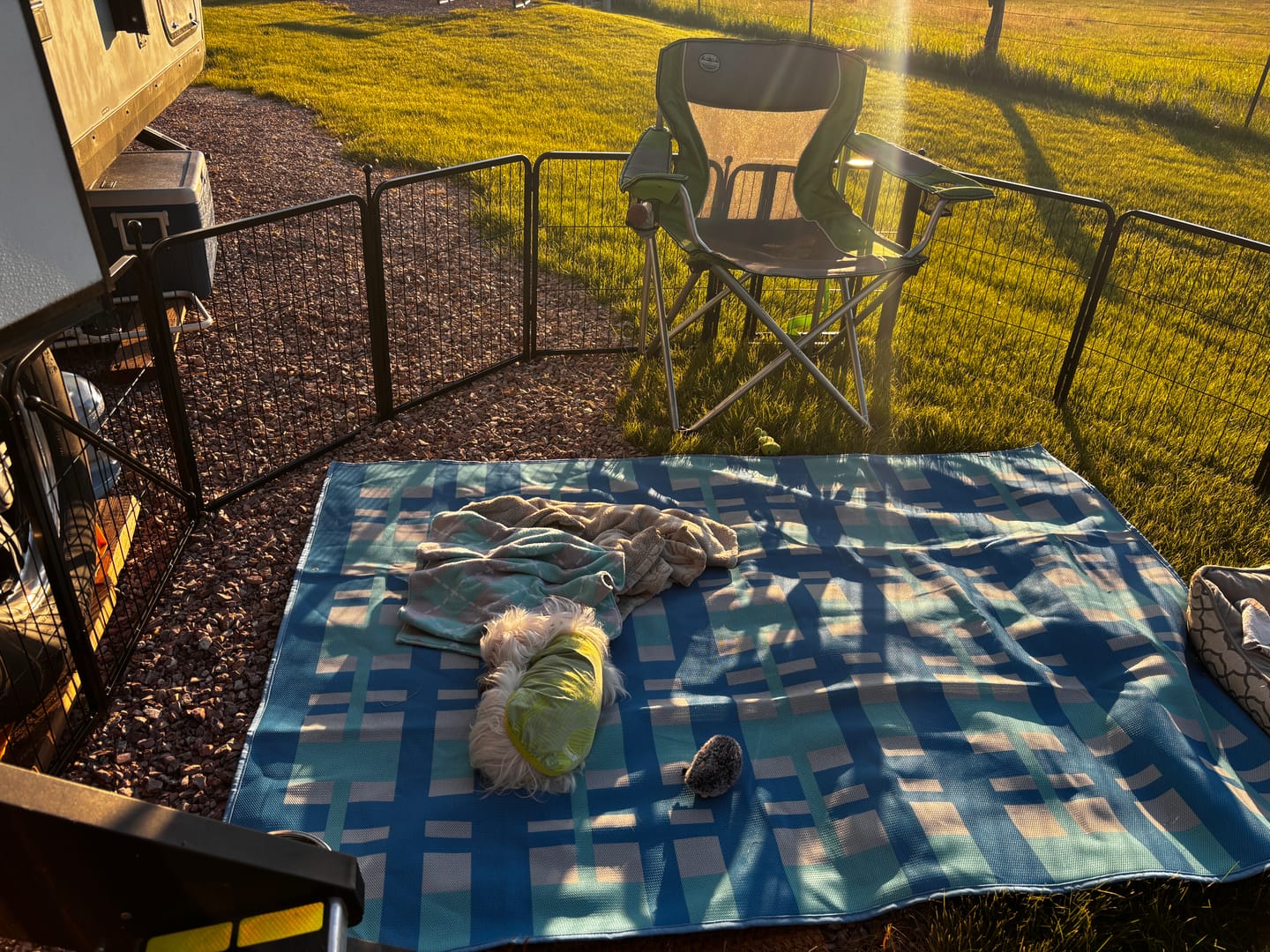 Customer photo review of Instant Dog Playpen – Quick Setup for RV Camping