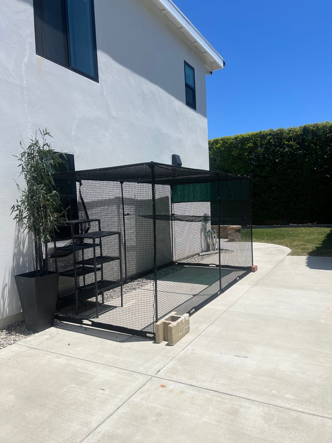 Customer photo review of Cat Enclosure | XL