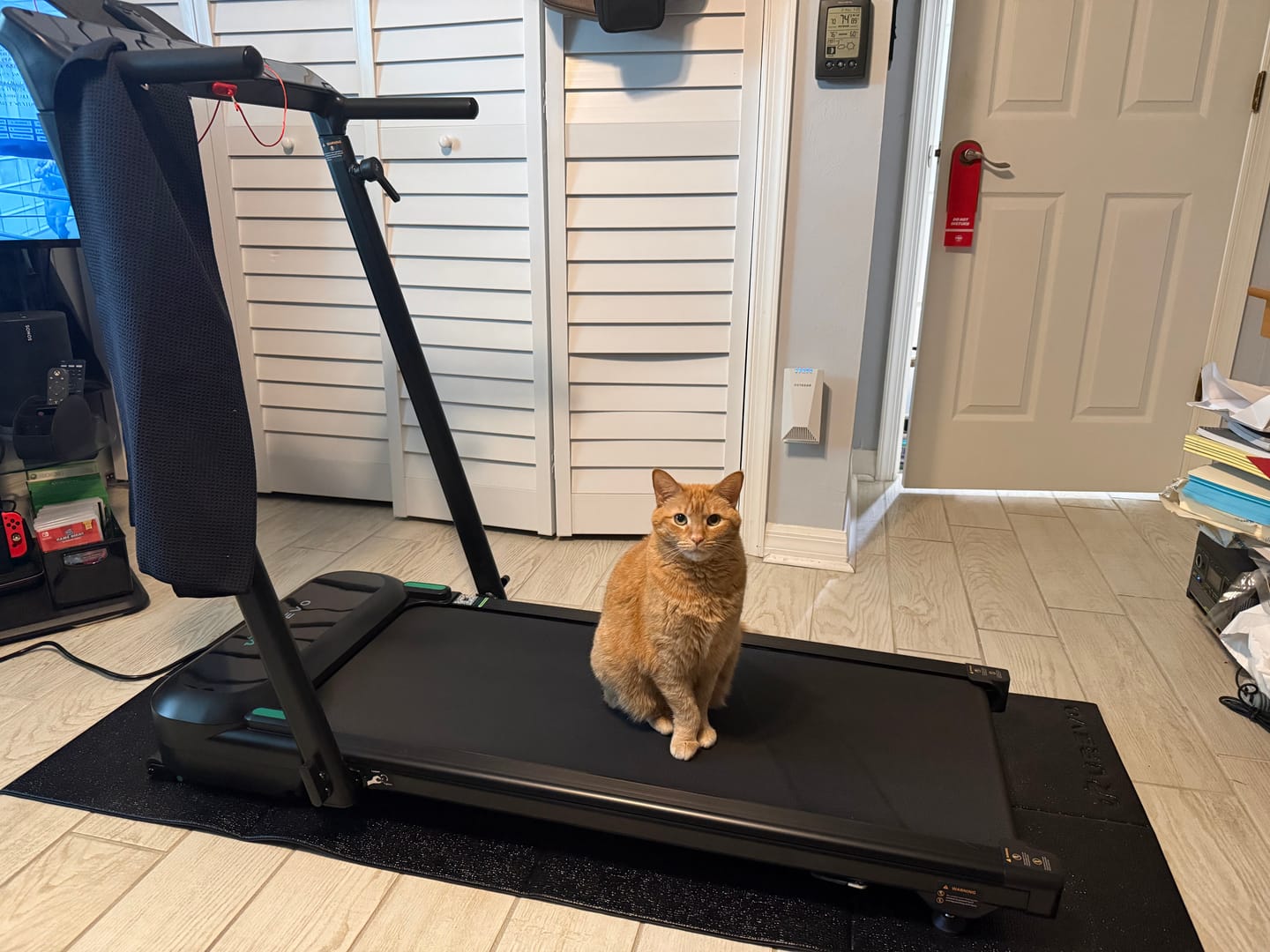 Customer photo review of UREVO FoldiMix 5L Smart Treadmill