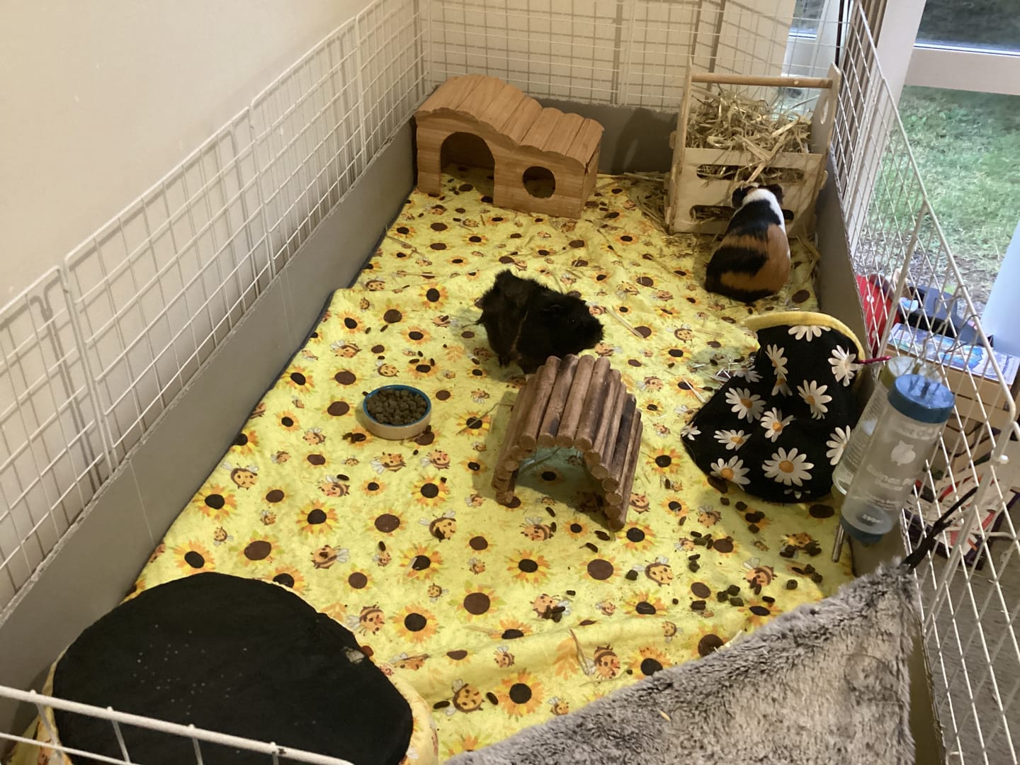 Customer photo review of Bee-utiful Sunflowers Fleece Liner for C&C Ozzy Cages