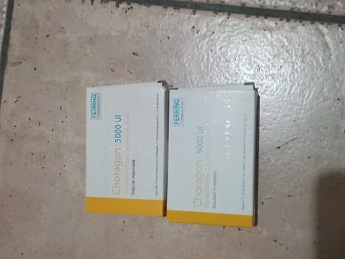 Customer photo review of Choragon | Gonadotropina coriónica humana (HCG) 5,000ui