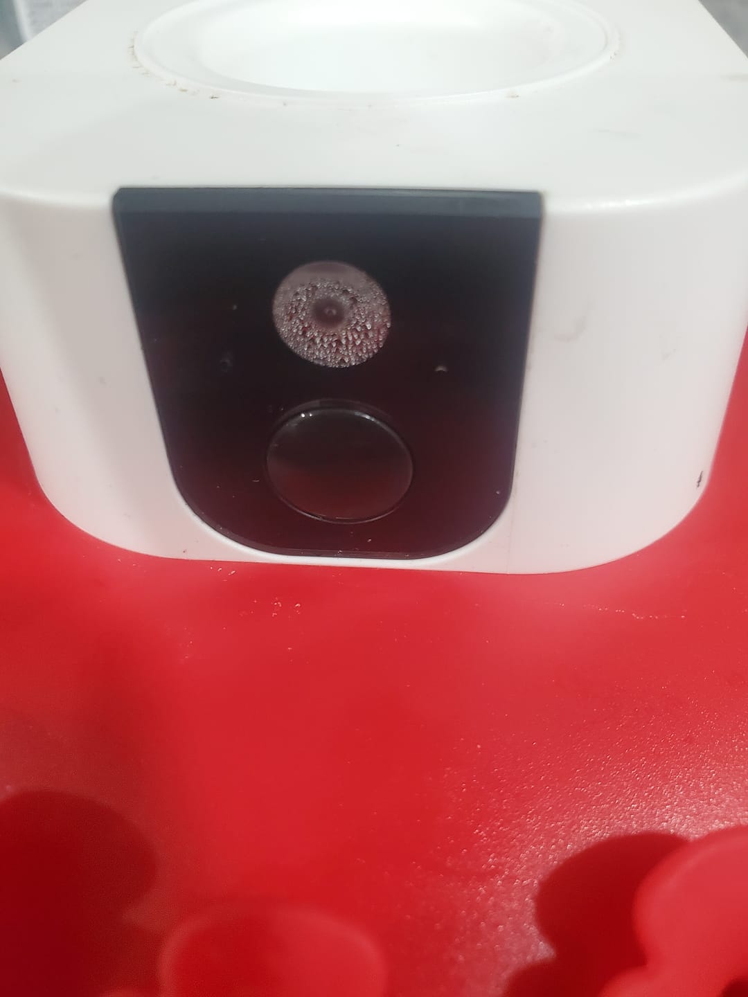 Customer photo review of Birdfy Hum Feeder Duo - Hummingbird Feeder with Dual Camera