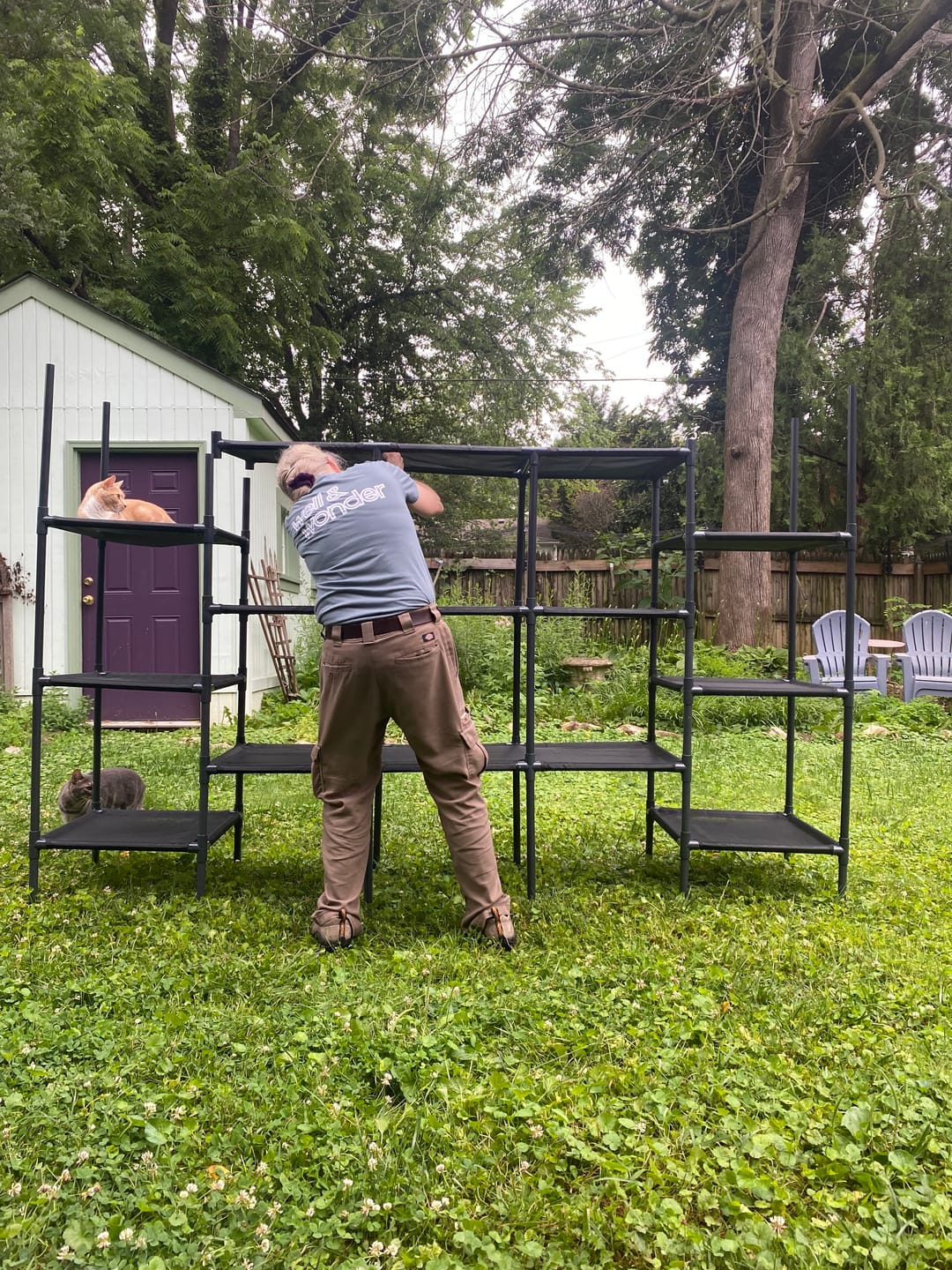 Customer photo review of Durable Cat Tower - Vista