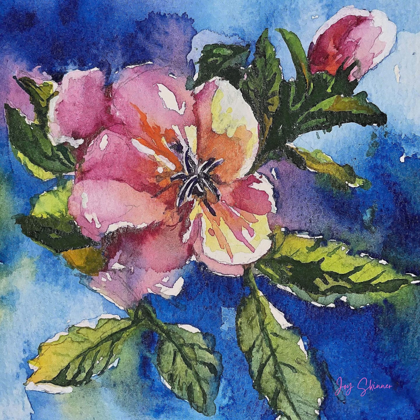 Customer photo review of Ohuhu Wailua Cotton-Top Watercolor Pad