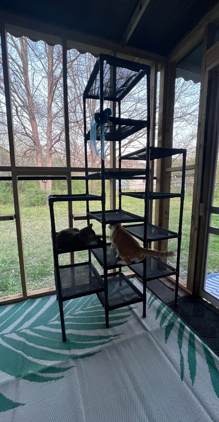 Customer photo review of Durable Cat Tower - SkyRise