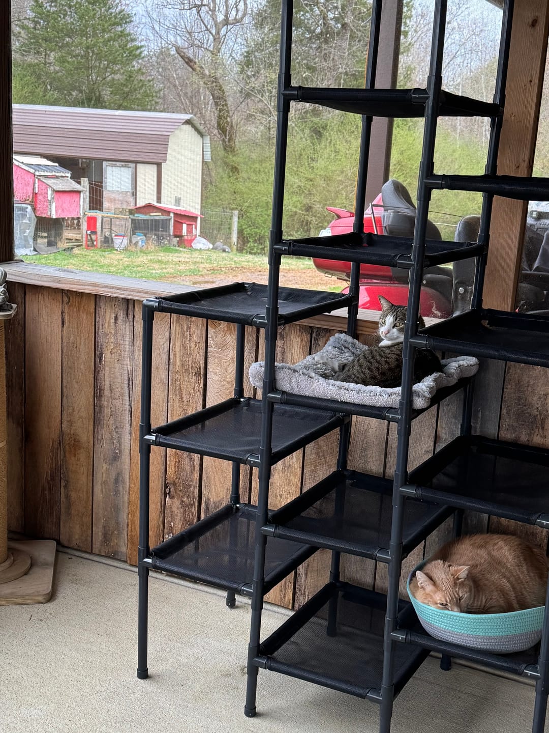 Customer photo review of Durable Cat Tower - SkyRise