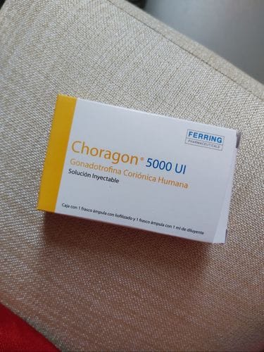 Customer photo review of Choragon | Gonadotropina coriónica humana (HCG) 5,000ui