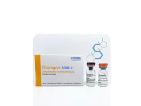 Customer photo review of Choragon | Gonadotropina coriónica humana (HCG) 5,000ui