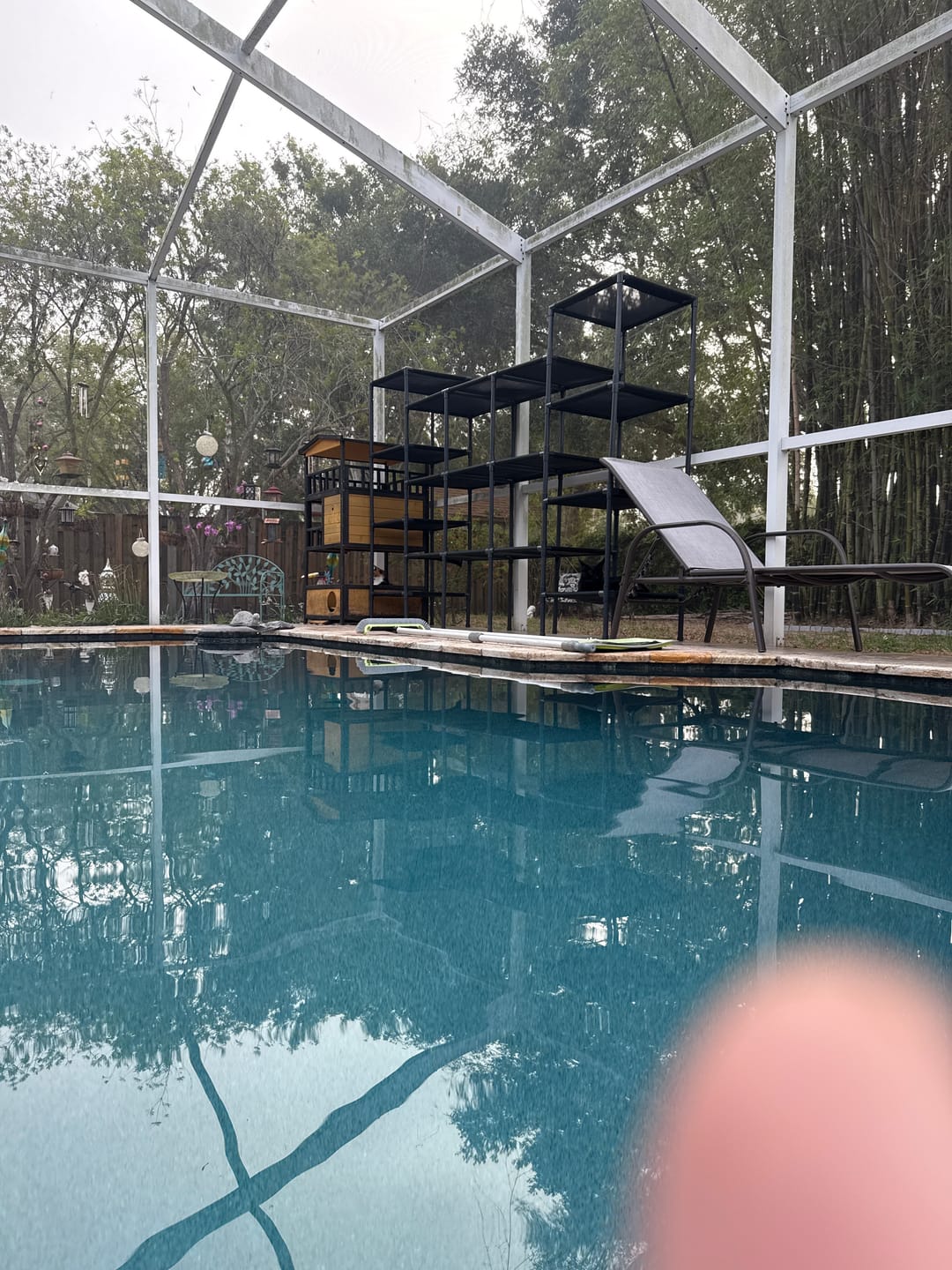 Customer photo review of Durable Cat Tower - Vista