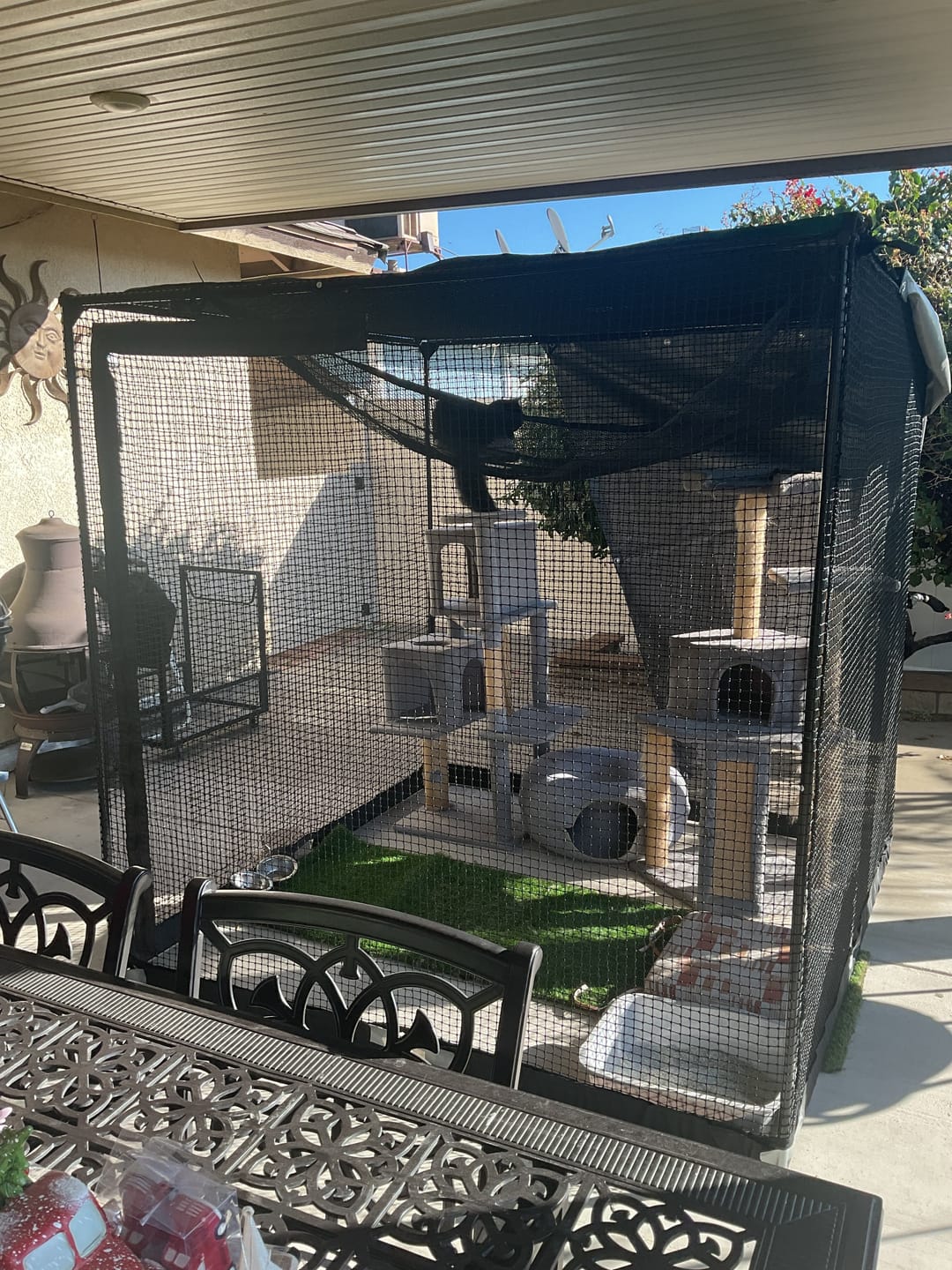 Customer photo review of Cat Enclosure | Large