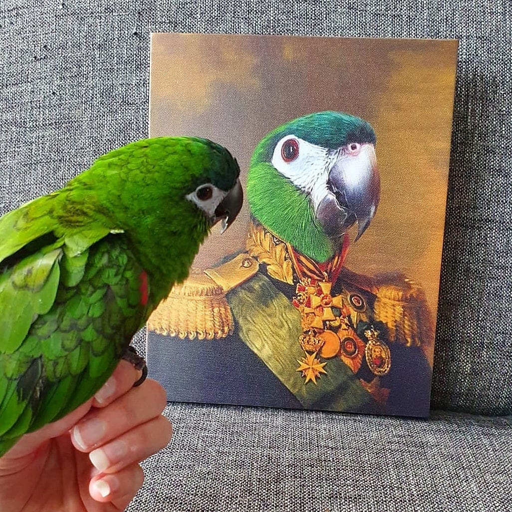 Customer photo review of Turn Your Pet Into A Royal Legend