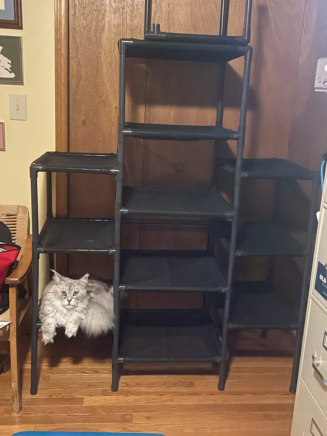 Customer photo review of Durable Cat Tower | Peak