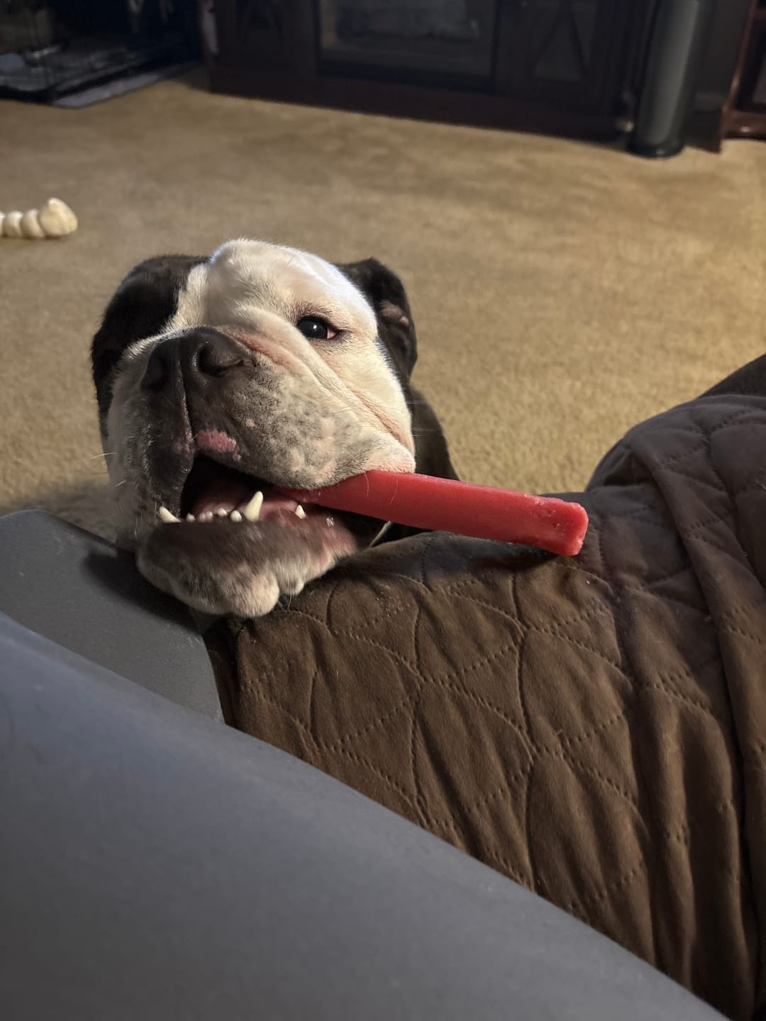 Customer photo review of Strawberry Himalayan Yak Chew (MEDIUM)