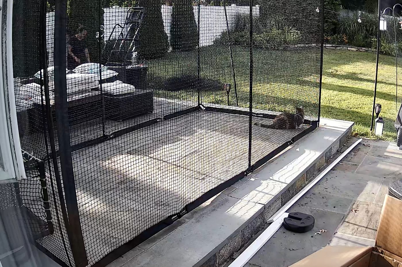 Customer photo review of Cat Enclosure | XL