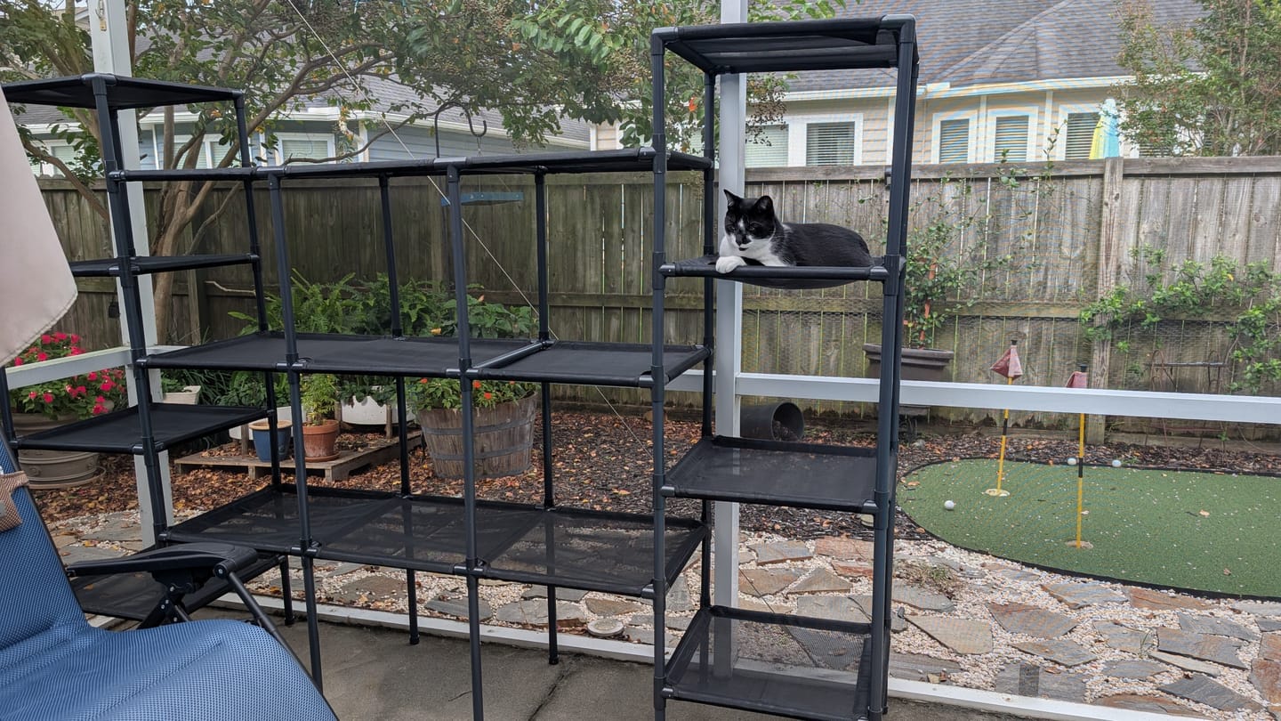 Customer photo review of Durable Cat Tower - Vista