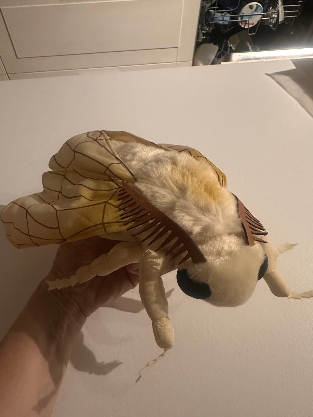 Customer photo review of Silk Moth Soft Stuffed Plush Toy