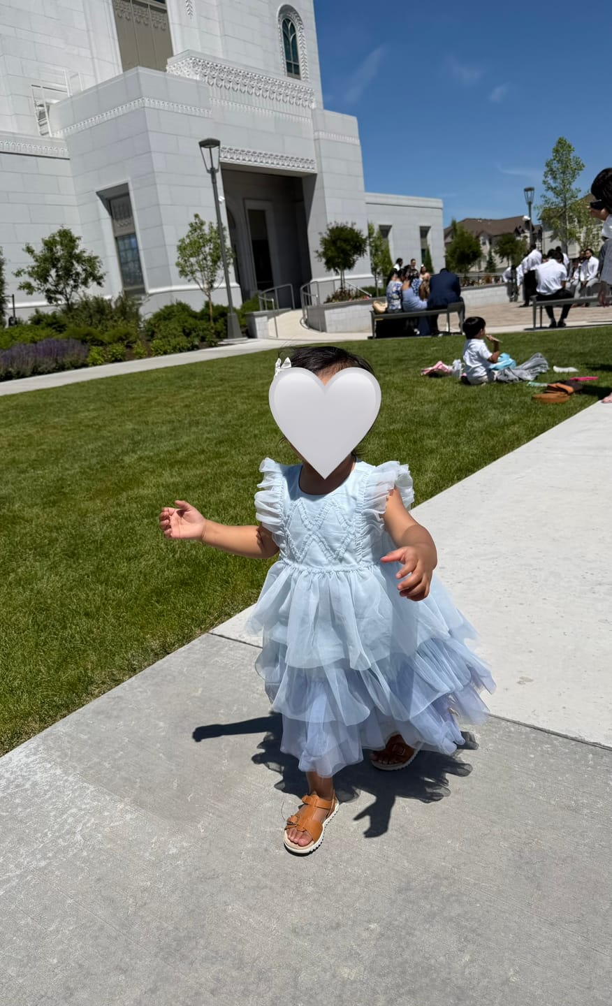 Customer photo review of Dave&Bella Summer Toddler Girls Sleeveless Layered Mesh Princess Dress