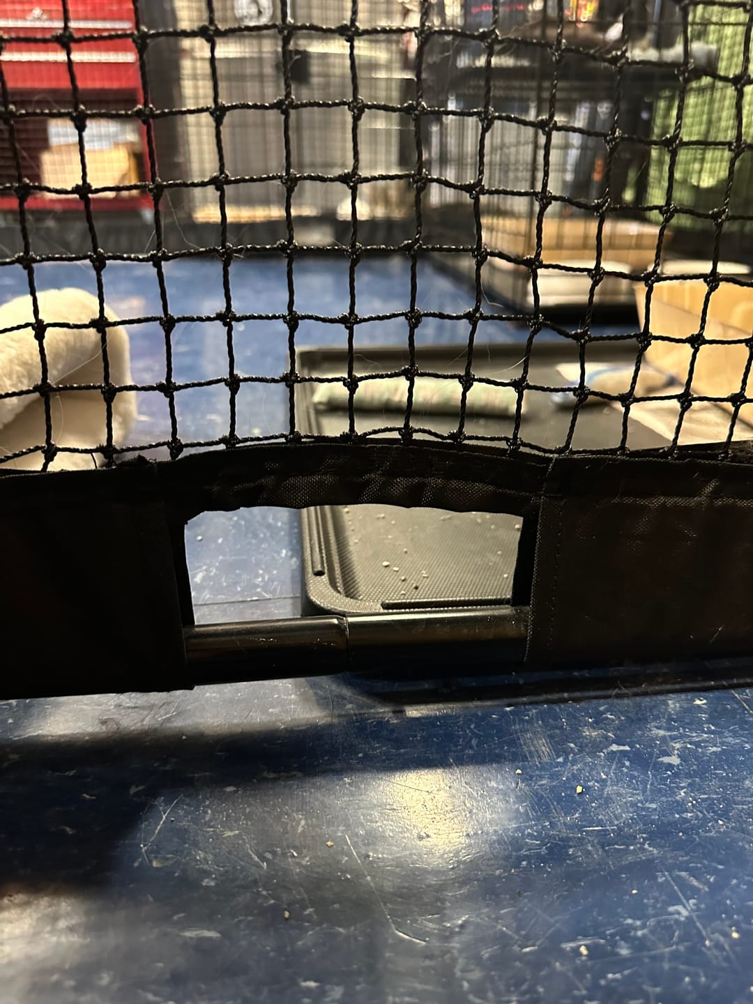 Customer photo review of Cat Enclosure | Large