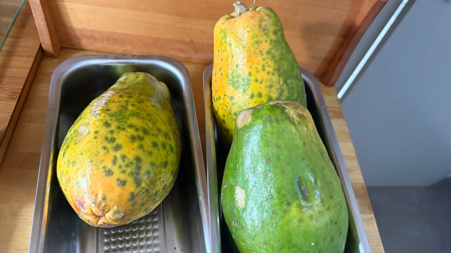 Customer photo review of Papaya Bio von Julian 4kg Box Sonderaktion %