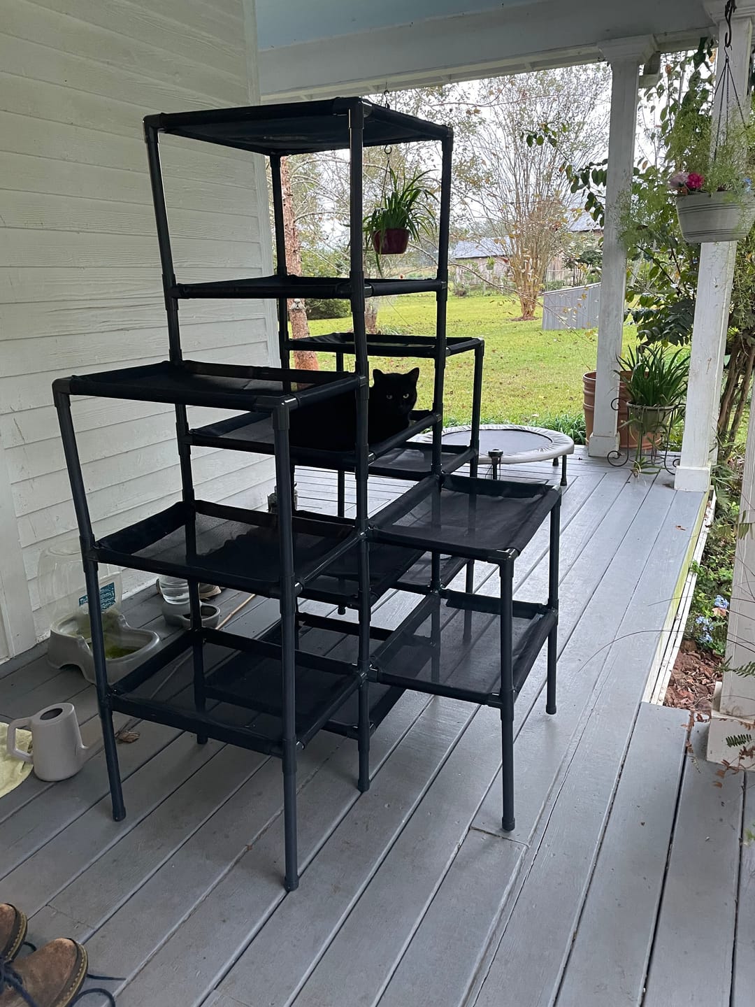 Customer photo review of Durable Cat Tower | Peak