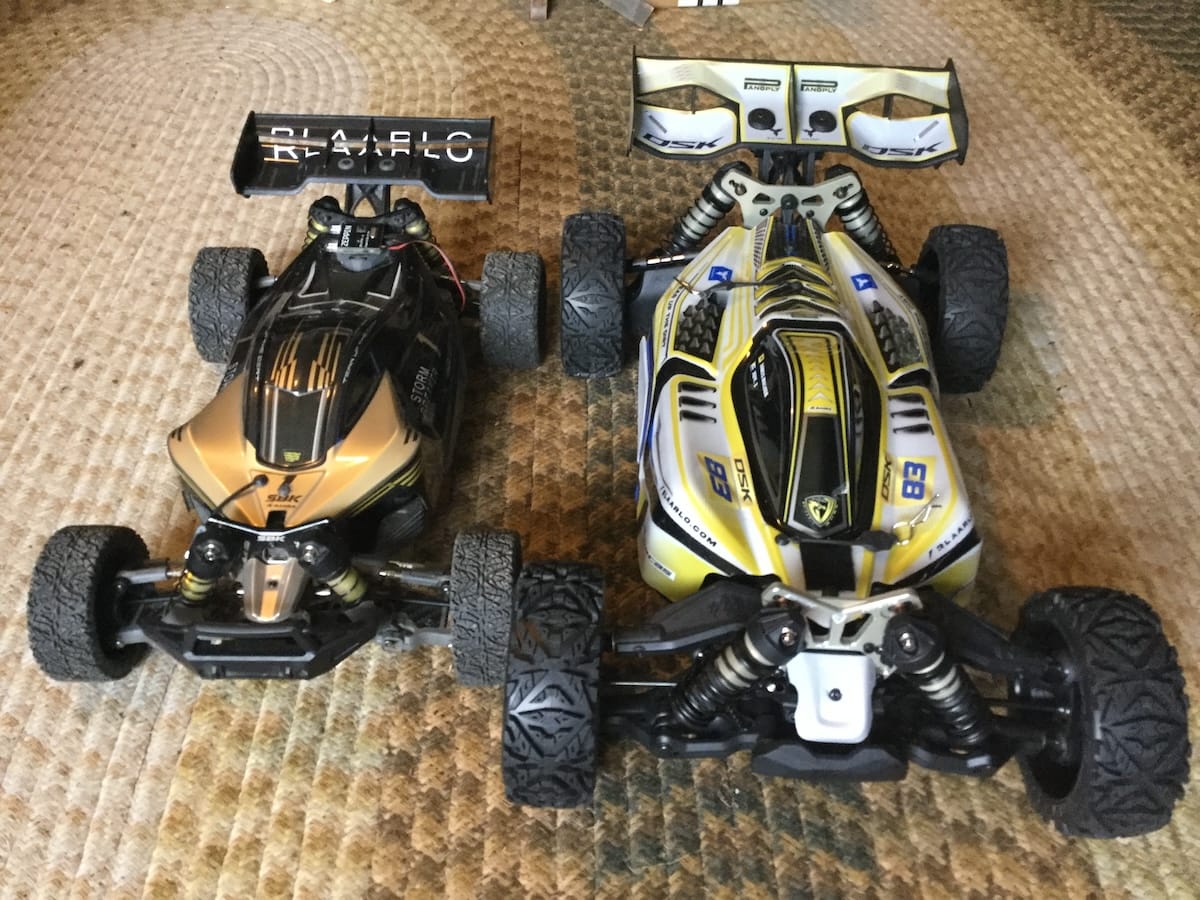 Customer photo review of Rlaarlo 1/8 4WD Buggy Dragon Scale Knight | DSK Roller(Without Electric Parts)