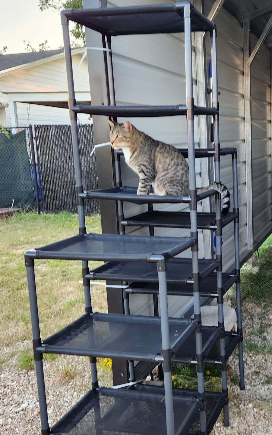Customer photo review of Durable Cat Tower - SkyRise