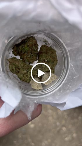 Customer video review of ICE-O-LATOR 50% THCA