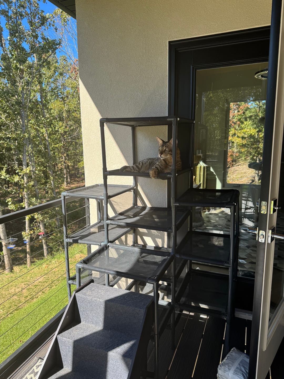 Customer photo review of Durable Cat Tower | Peak