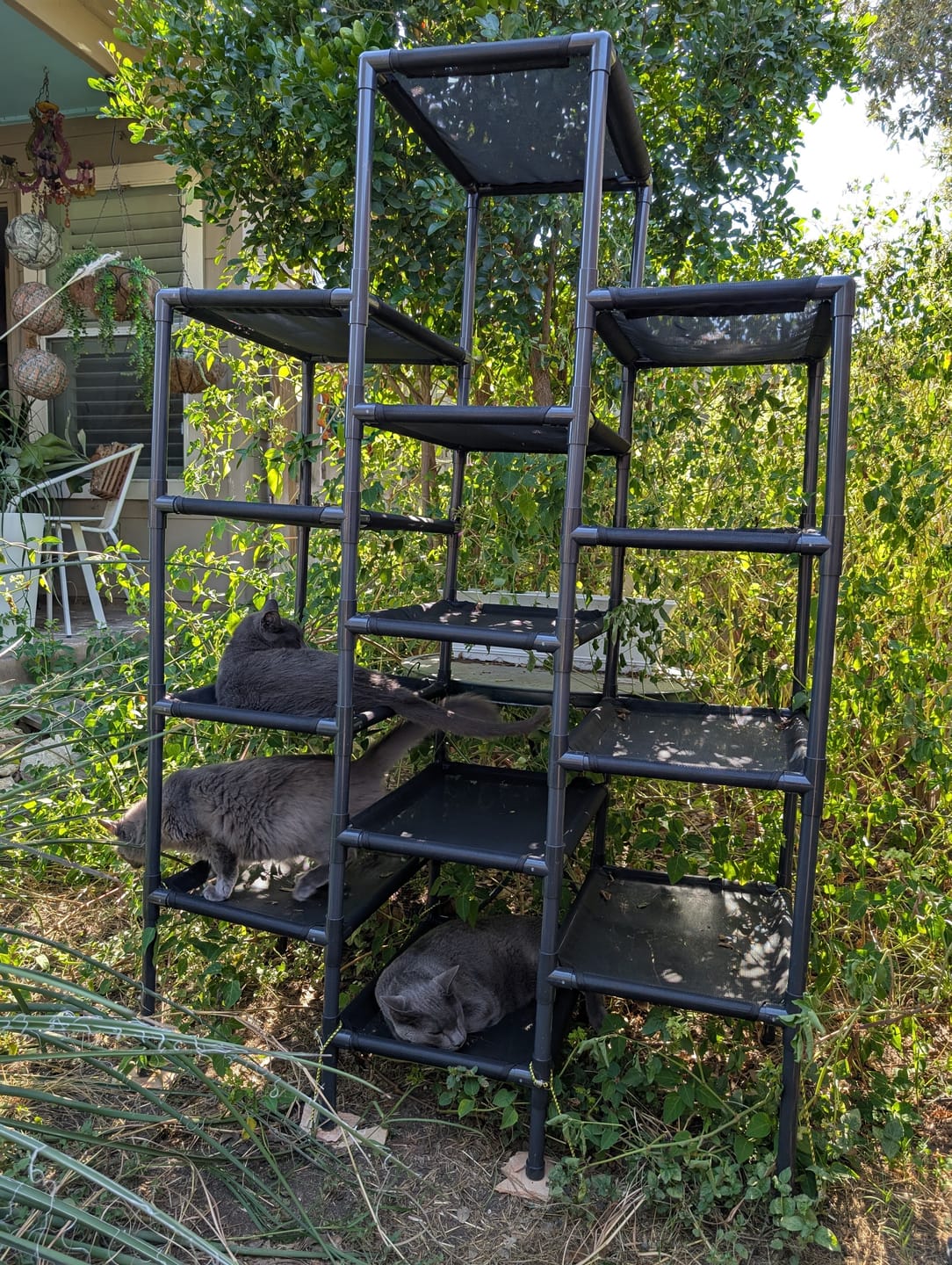 Customer photo review of Durable Cat Tower - SkyRise
