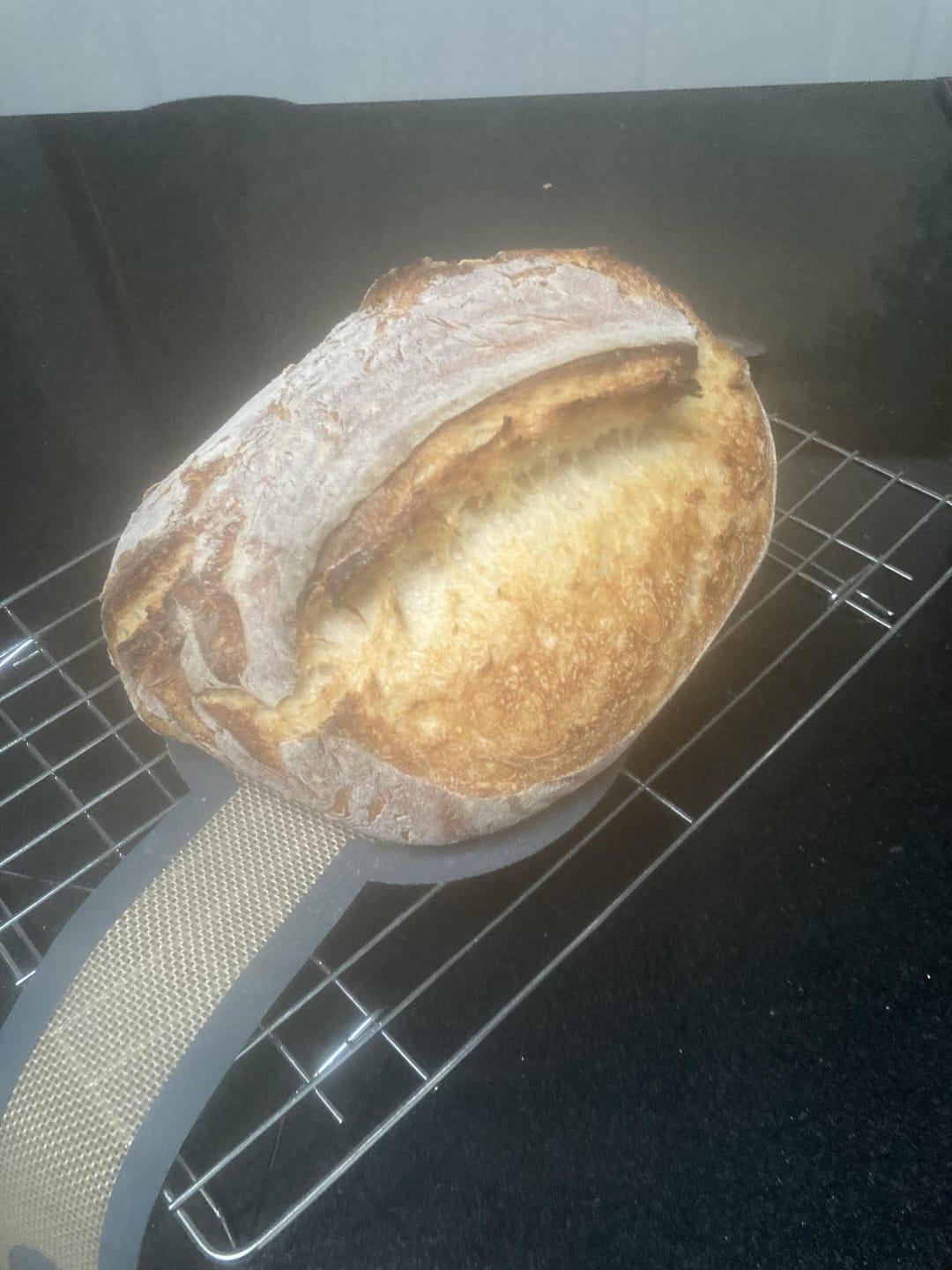 Customer photo review of UFO Bread Lame with Cover + 5 Blades