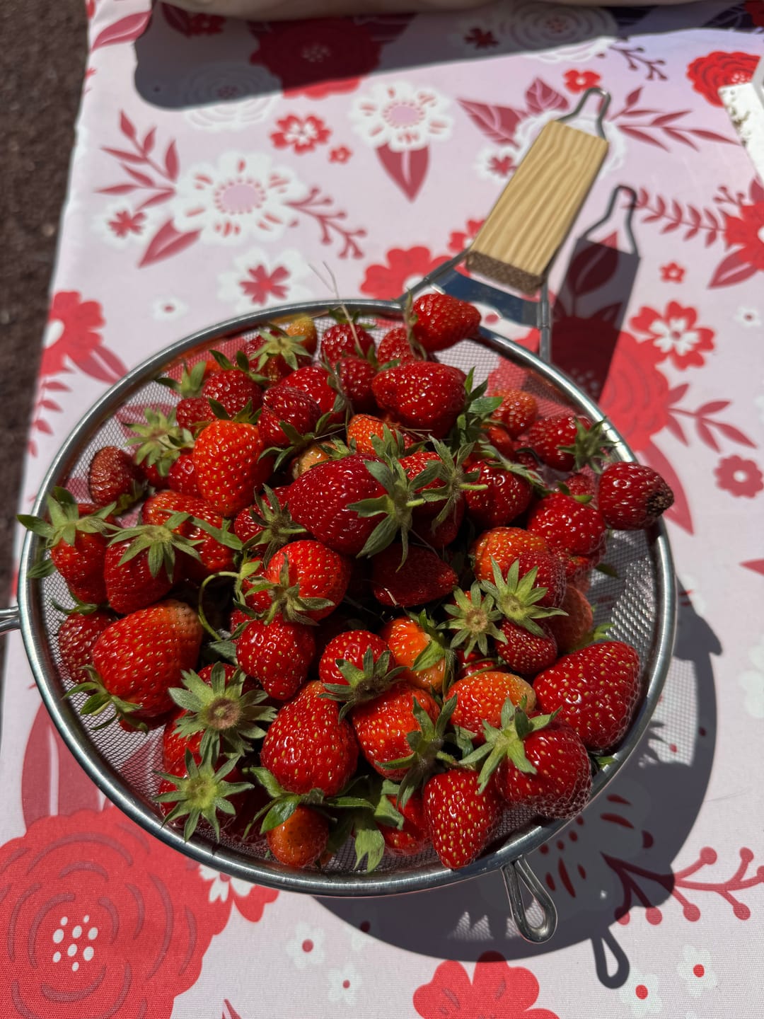 Customer photo review of Bloom Juice Award-Winning Formula