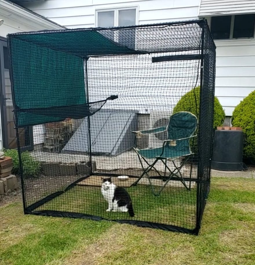 Customer photo review of Cat Enclosure | Large