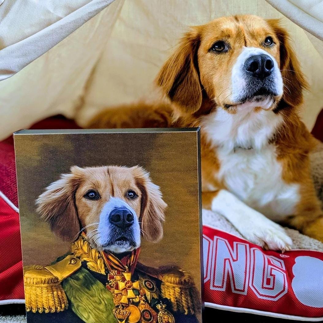 Customer photo review of Turn Your Pet Into A Royal Legend