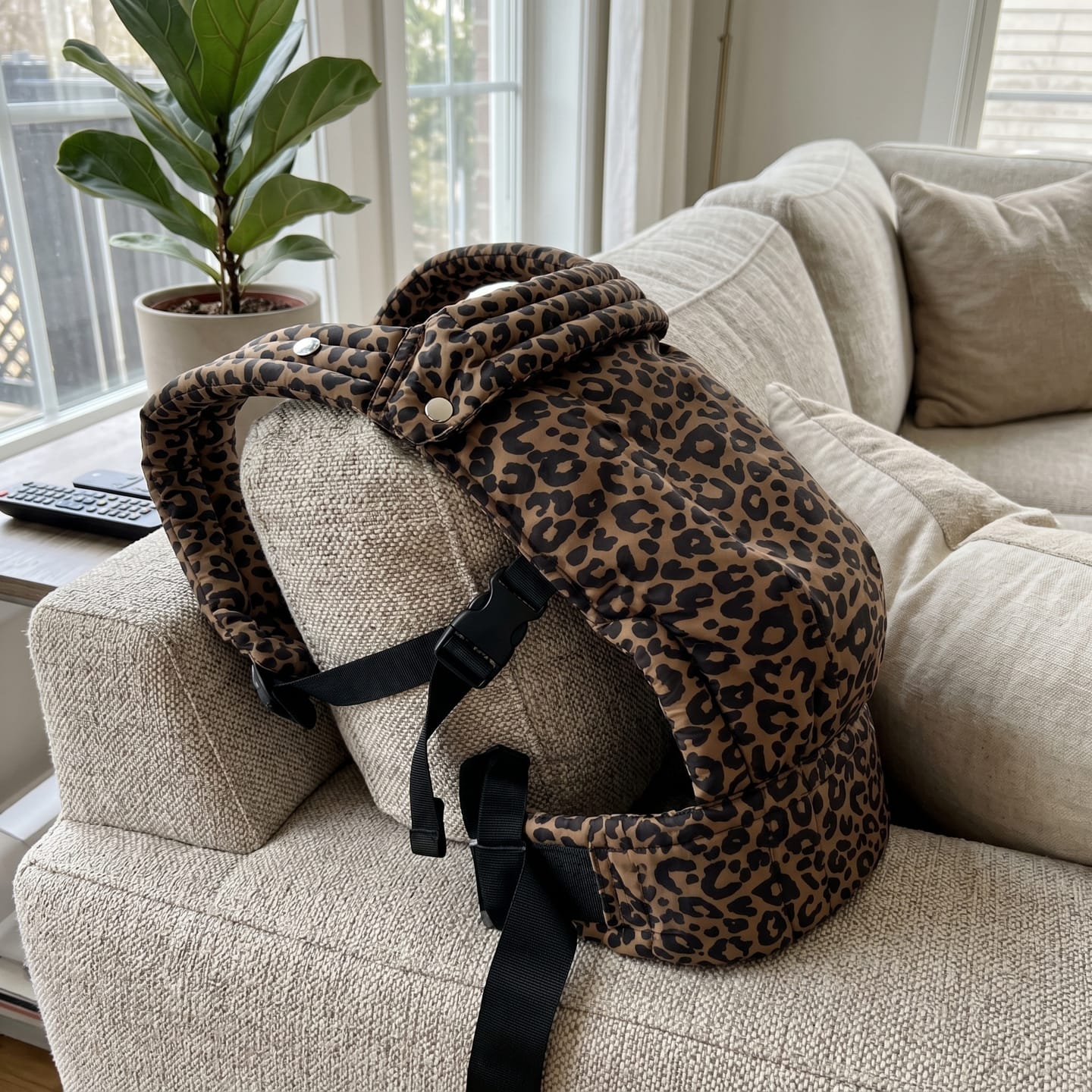 Customer photo review of Hush Home Carrier