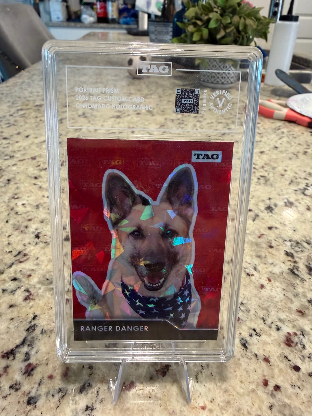 Customer photo review of TAG Custom Card | Pet Portrait Prism