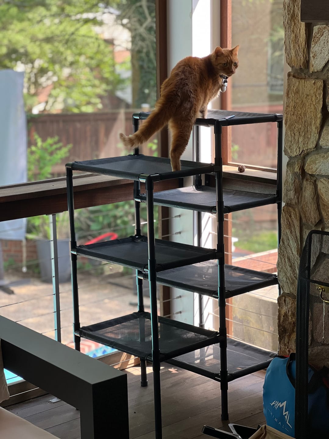 Customer photo review of Durable Cat Tower - Haven