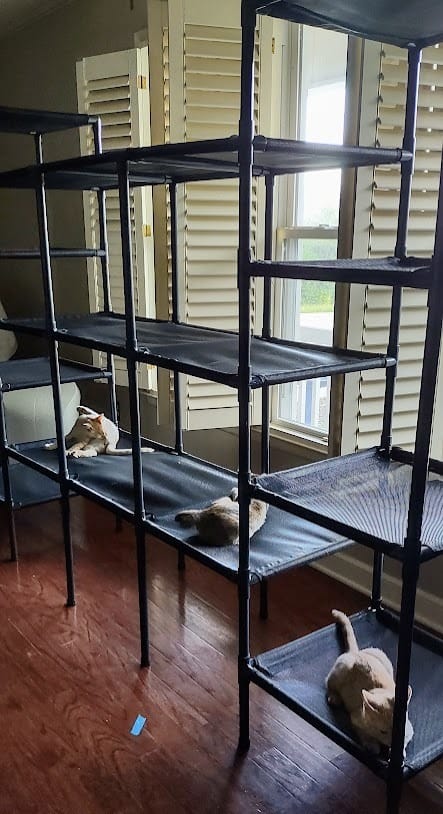 Customer photo review of Durable Cat Tower - Vista