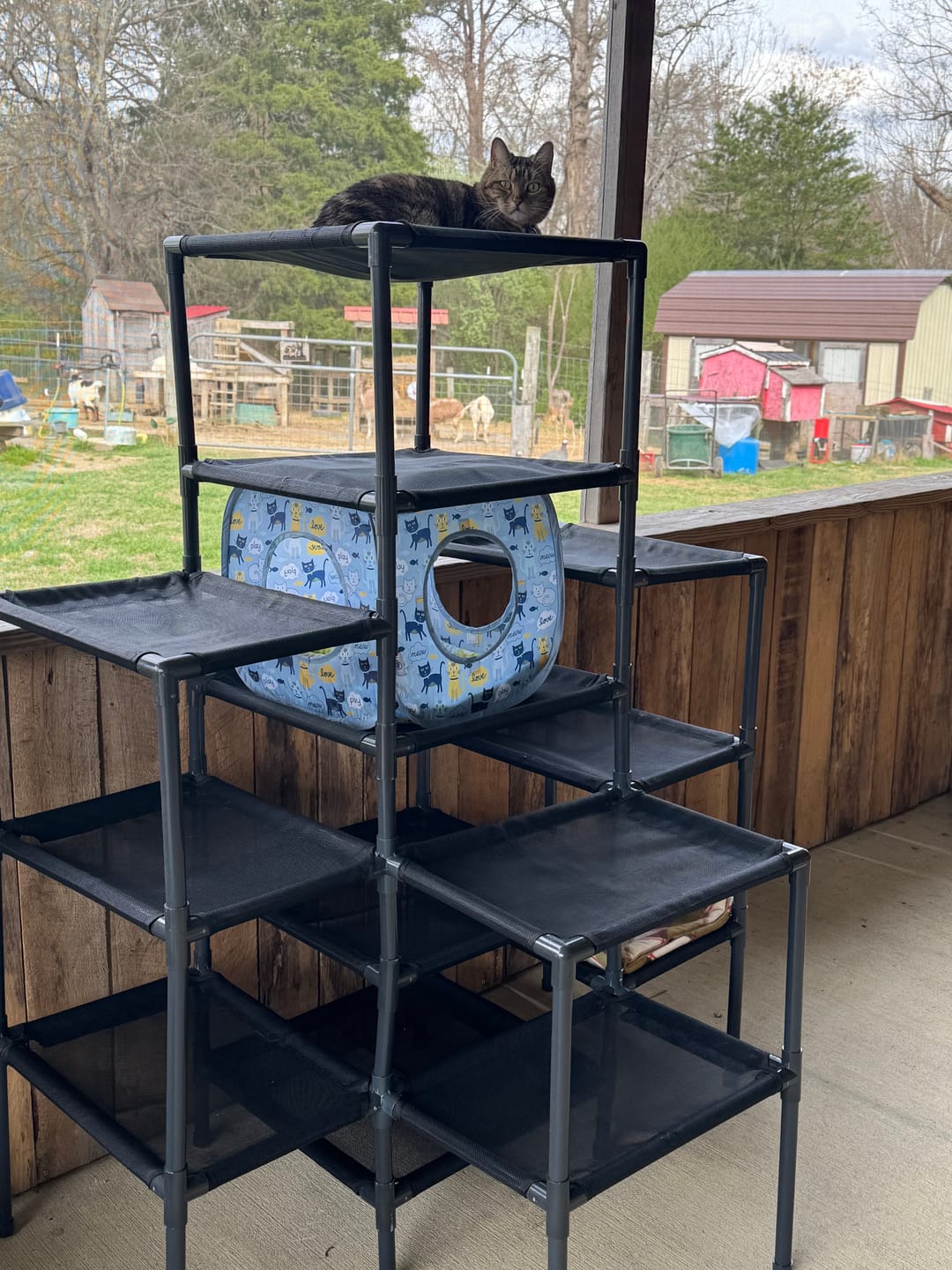 Customer photo review of Durable Cat Tower | Peak