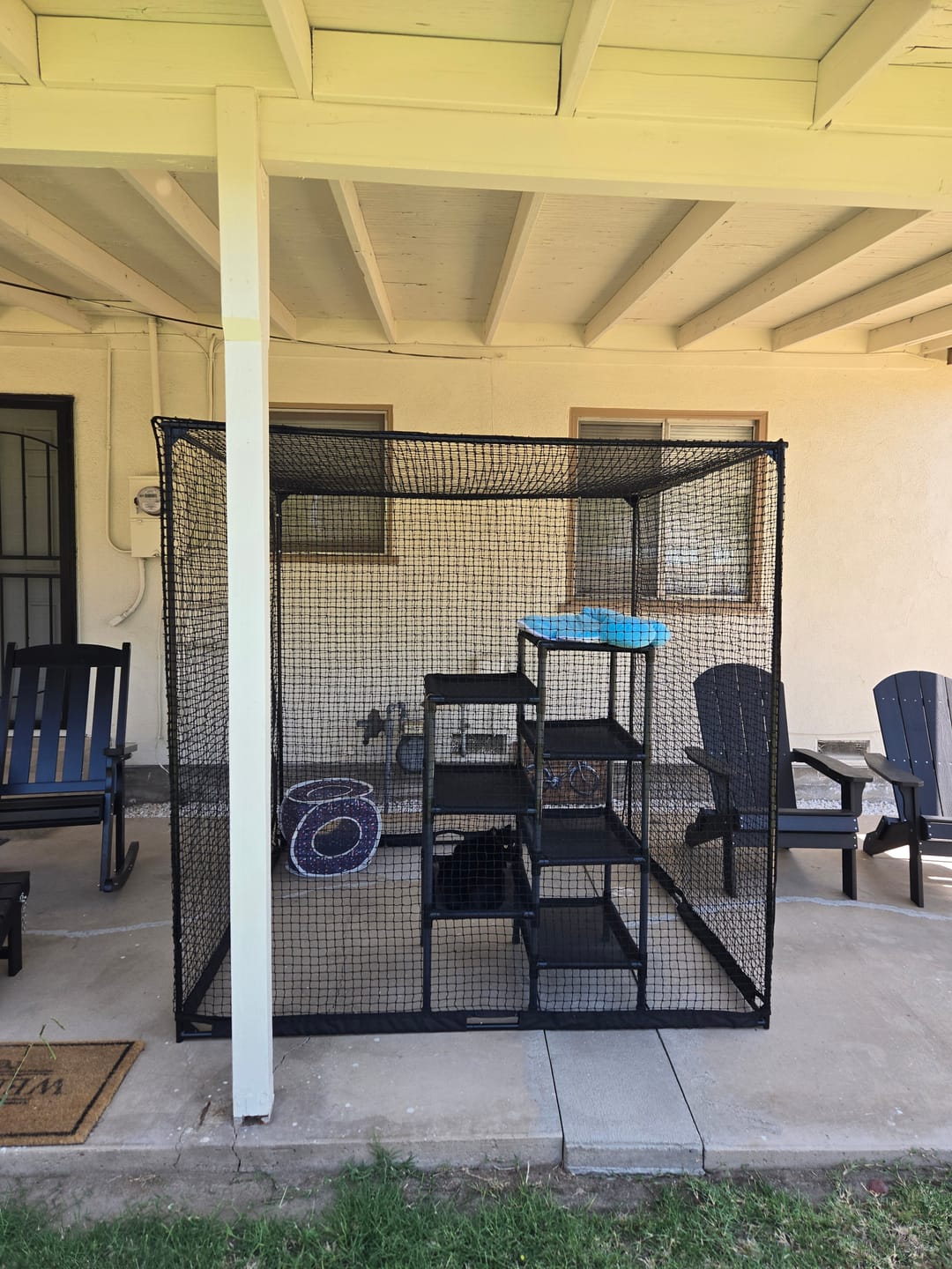 Customer photo review of Cat Enclosure | Large