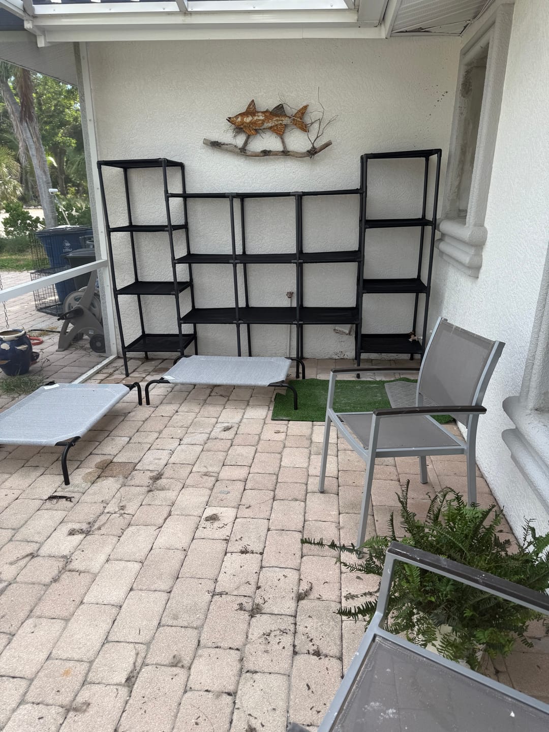 Customer photo review of Durable Cat Tower - Vista