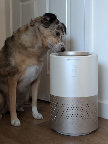 Customer photo review of Pet Air Purifier