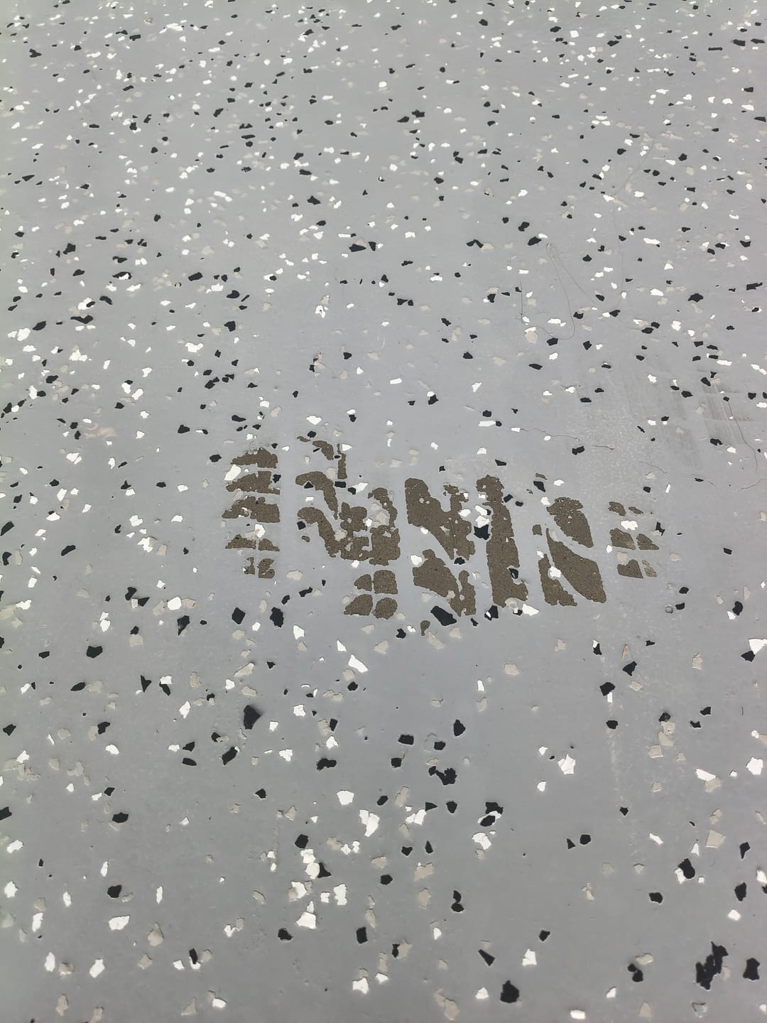 Customer photo review of Epoxy Flake Floor Kit