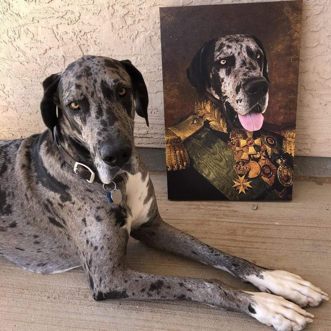Customer photo review of Turn Your Pet Into A Royal Legend