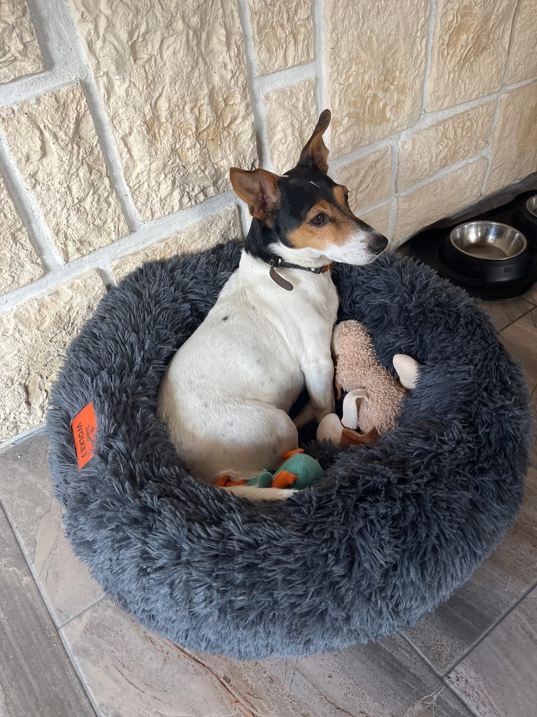 Customer photo review of Puppery Hundebett Wolke 7 - Das Original