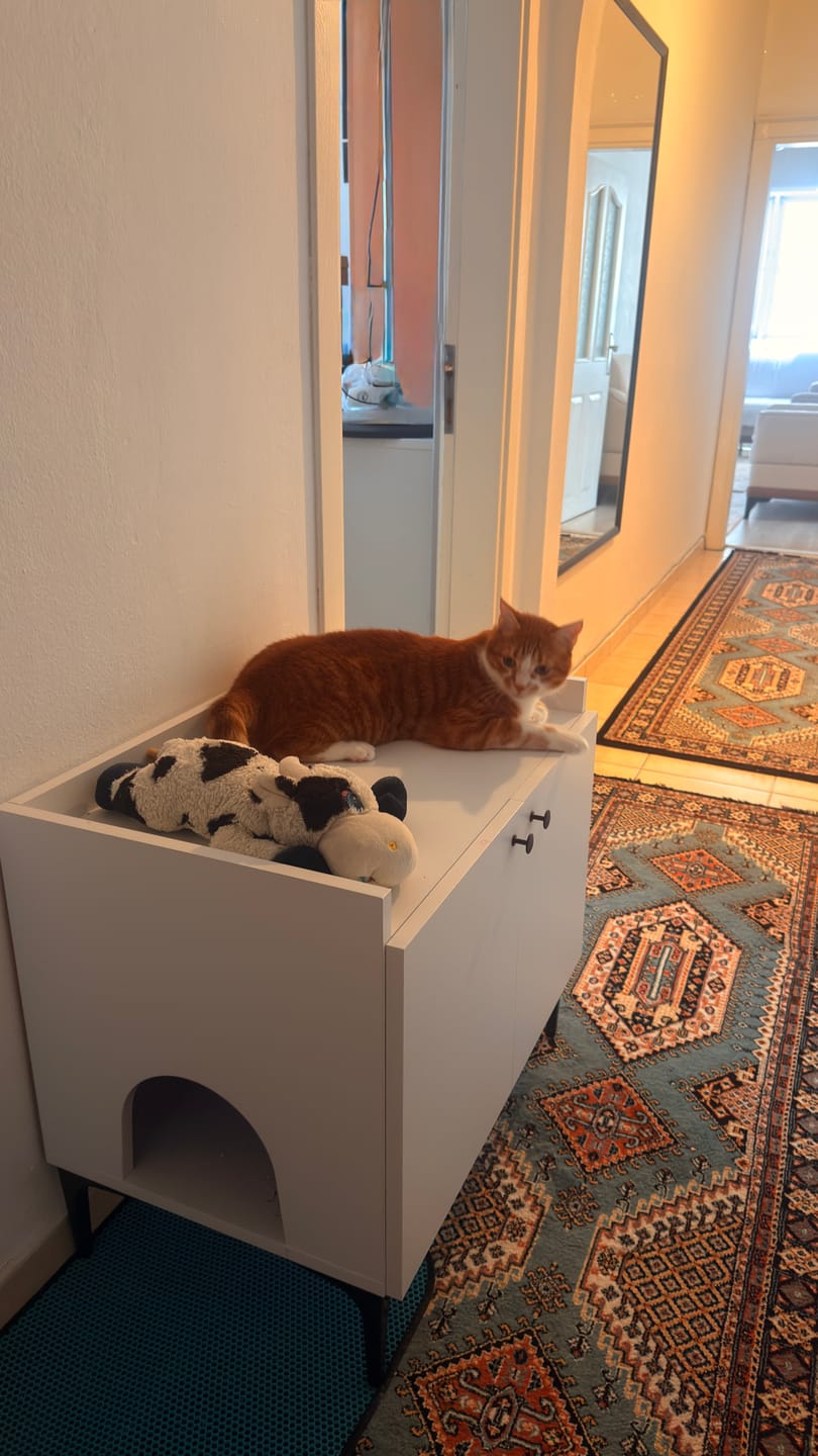 Customer photo review of Rani PA101 Kedi Mobilyası Çok Amaçlı Dolap Gizli Kedi Tuvalet Dolabı Kedi Evi Beyaz