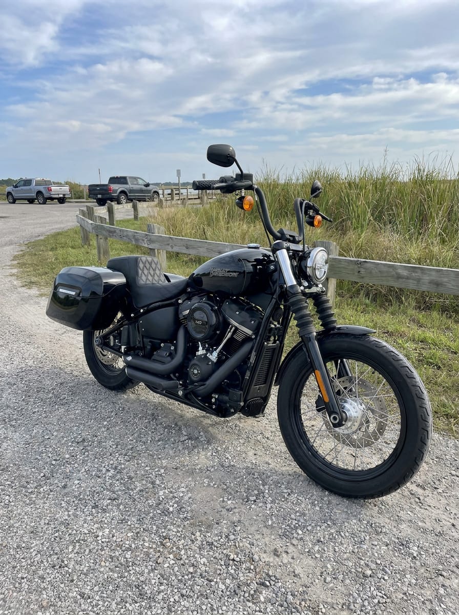 Customer photo review of 40L - Lamellar Raven Extra Large Painted Motorcycle Hard Saddlebags for Harley Softail Street Bob FXBB/S