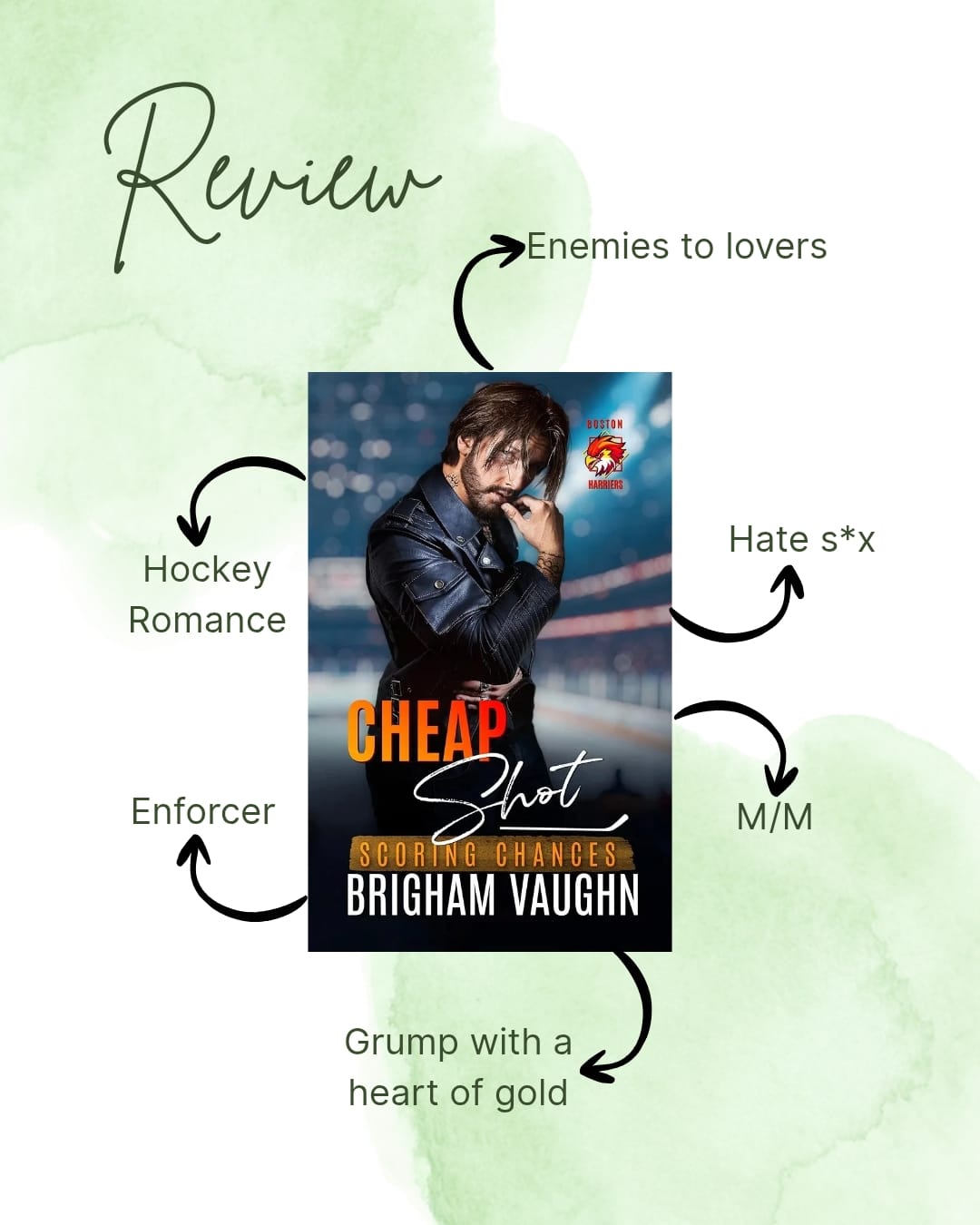 Customer photo review of Cheap Shot (The Scoring Chances Series #5)  - Audiobook